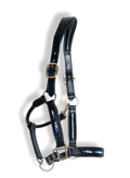 Licol Edition Limité Lamotte 2026