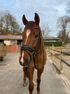 Bridon Black Diamond