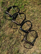 Bridon pailletés cuir