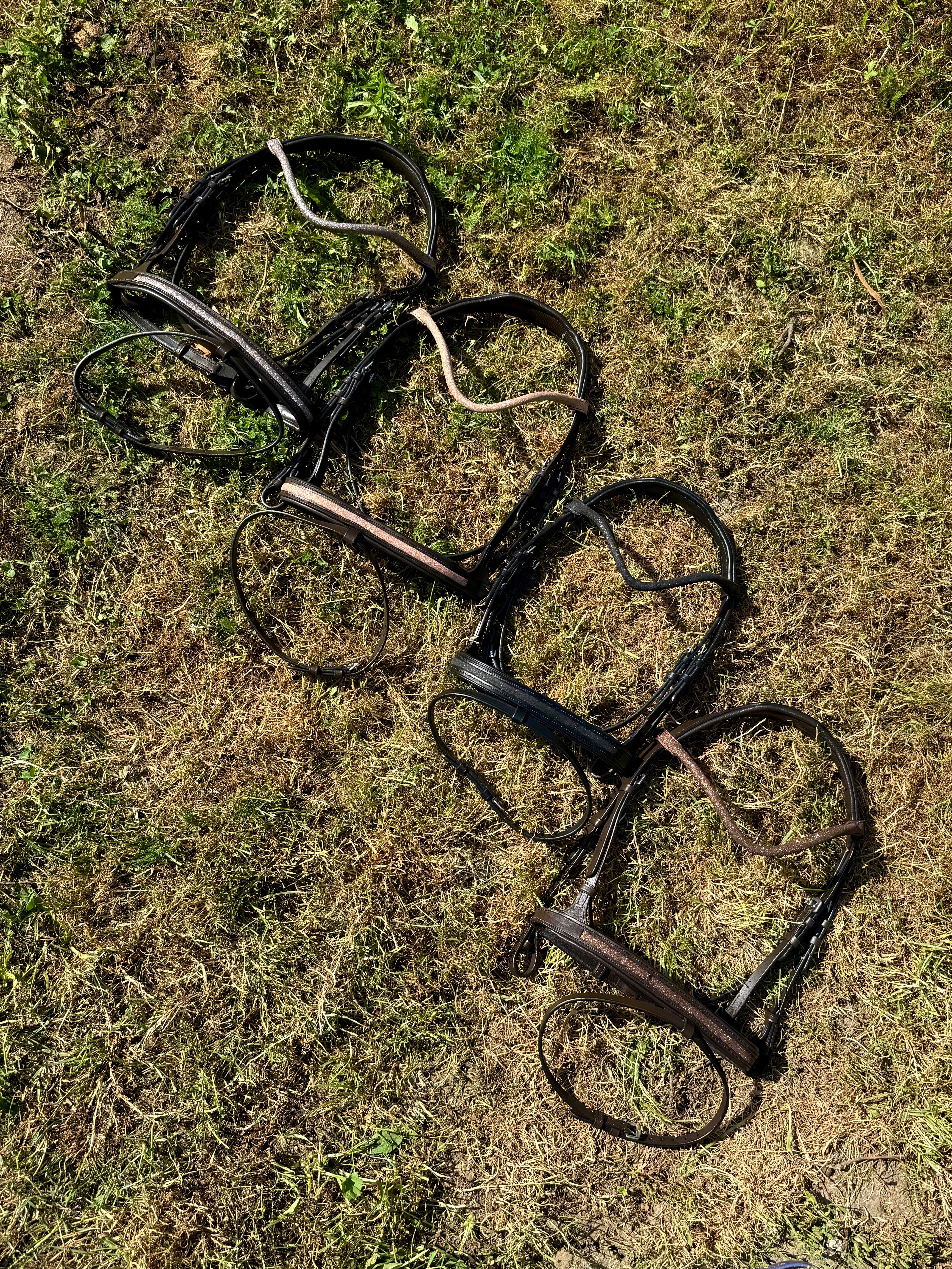 Bridon pailletés cuir